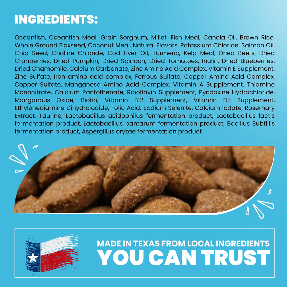 Muenster Ancient Grains Ocean Fish dog eating kibble shows meaty flavor appeal.