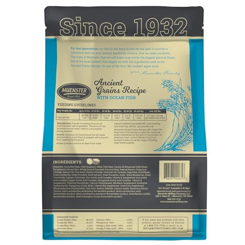 Muenster Ancient Grains Ocean Fish kibble closeup shows small-breed size for easy chewing.