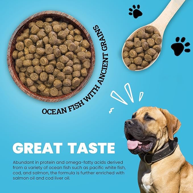 Muenster Ancient Grains Ocean Fish omega-3-rich image for coat and skin health.