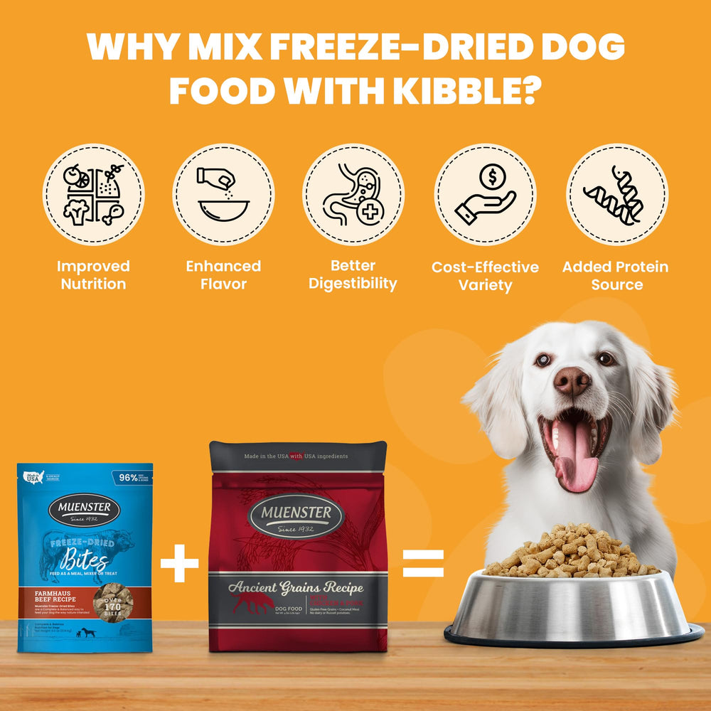 Muenster Ancient Grains Ocean Fish tiny kibble close-up for easier chewing and digestion.