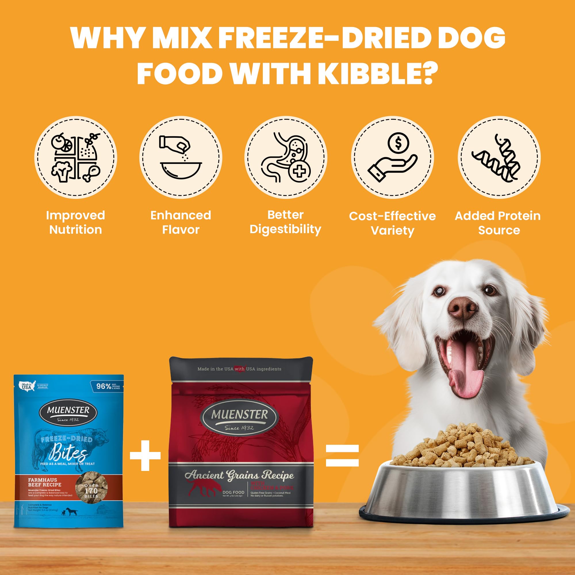 Muenster dog food close-up shows protein and ancient grains supporting digestion.