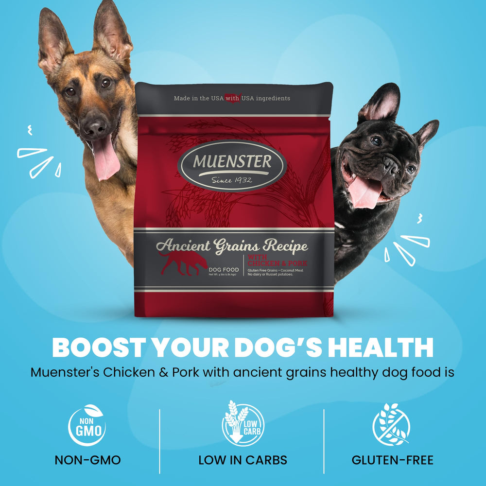 Muenster gluten-free bag label highlights non-GMO ingredients for digestible nutrition.
