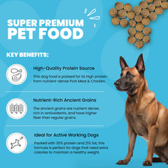 Muenster joint health active-dog kibble promoting mobility for small dogs.