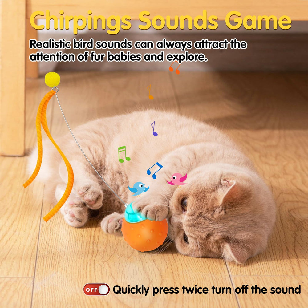 Muhhiba Cat Toy Ball with bird-sound teaser attracts cats with realistic chirps.