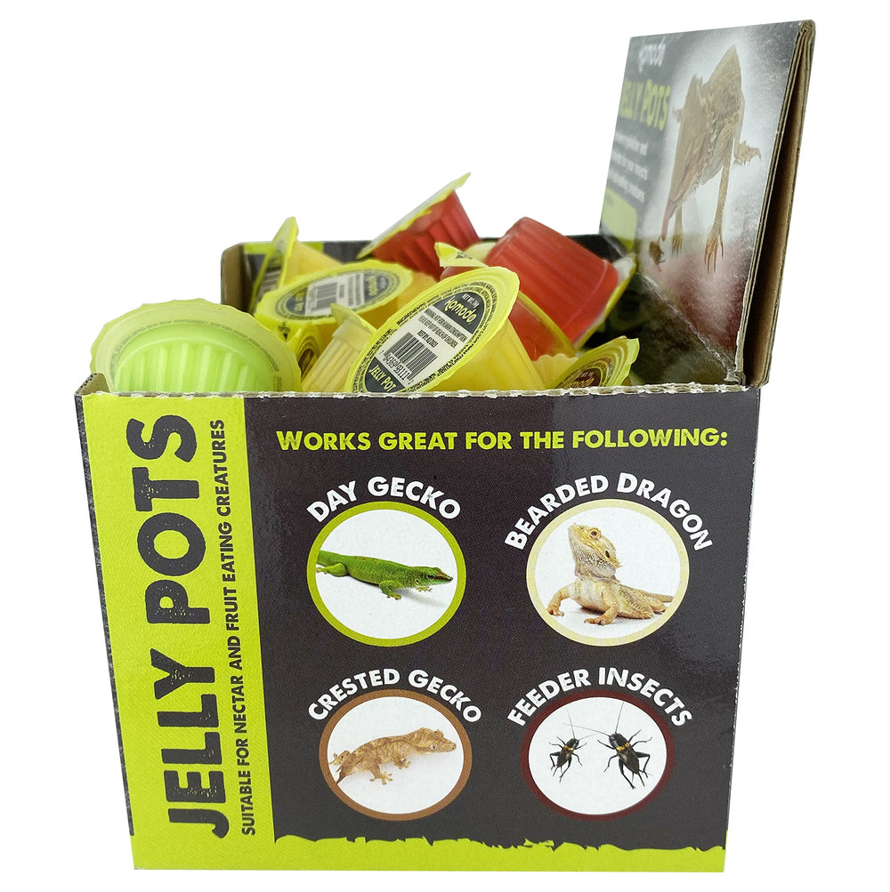 Multipet Komodo Jelly Pots banana cup provides quick hydration and nutrients for feeder insects.
