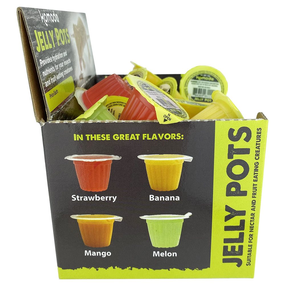 Multipet Komodo Jelly Pots strawberry cup adds flavor variety for fruit-eating reptiles.