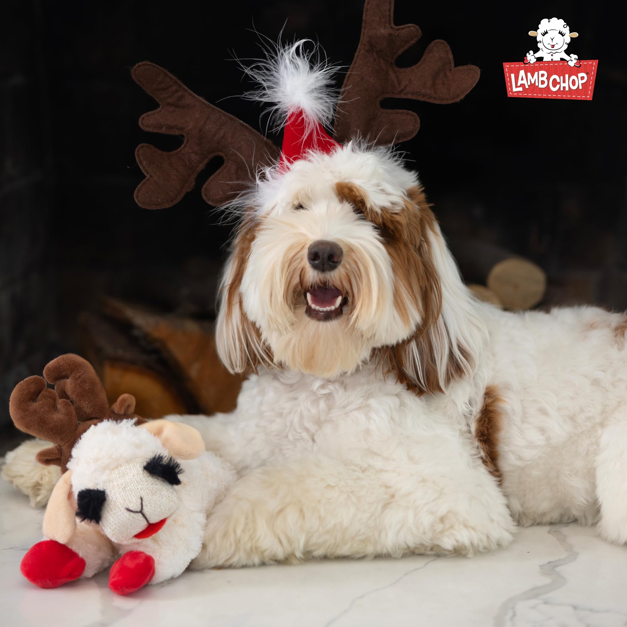 Multipet Lamb Chop toy is suitable for dogs of all sizes to enjoy.