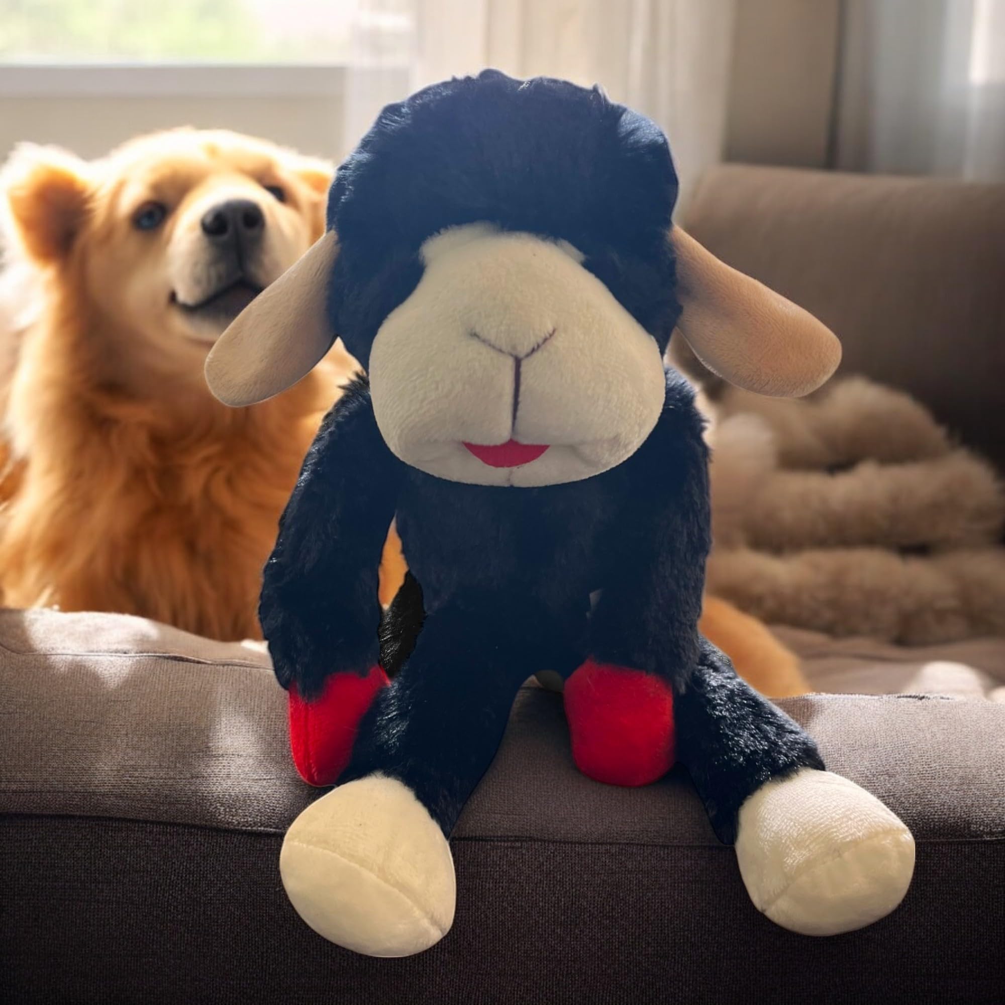 Multipet Lamb Chop black plush close-up highlights soft material and gentle chewing suitability.