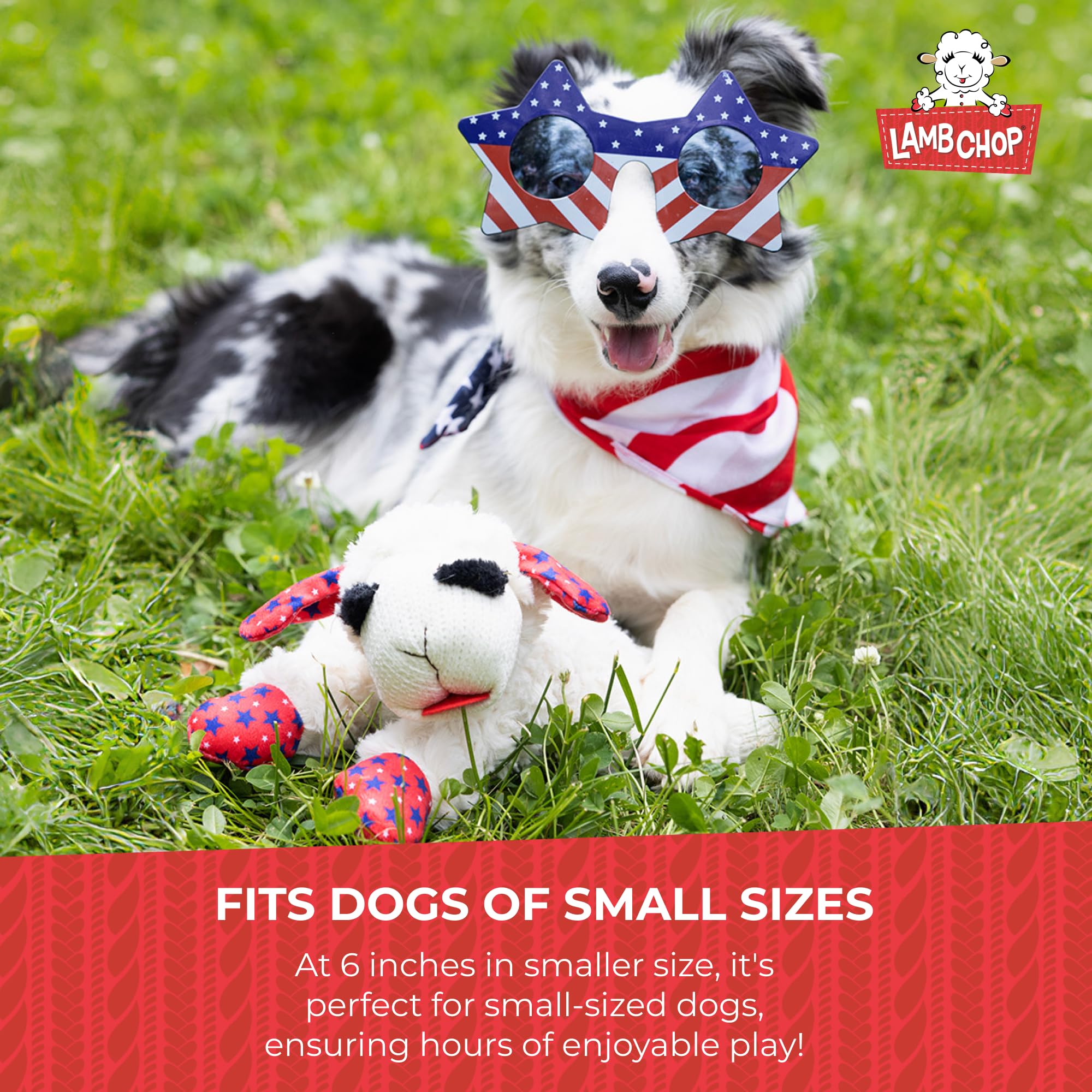 Multipet Lamb Chop plush runs soft texture for snuggling and quiet time.