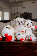 Multipet Lamb Chop three-pack toys ready for home play
