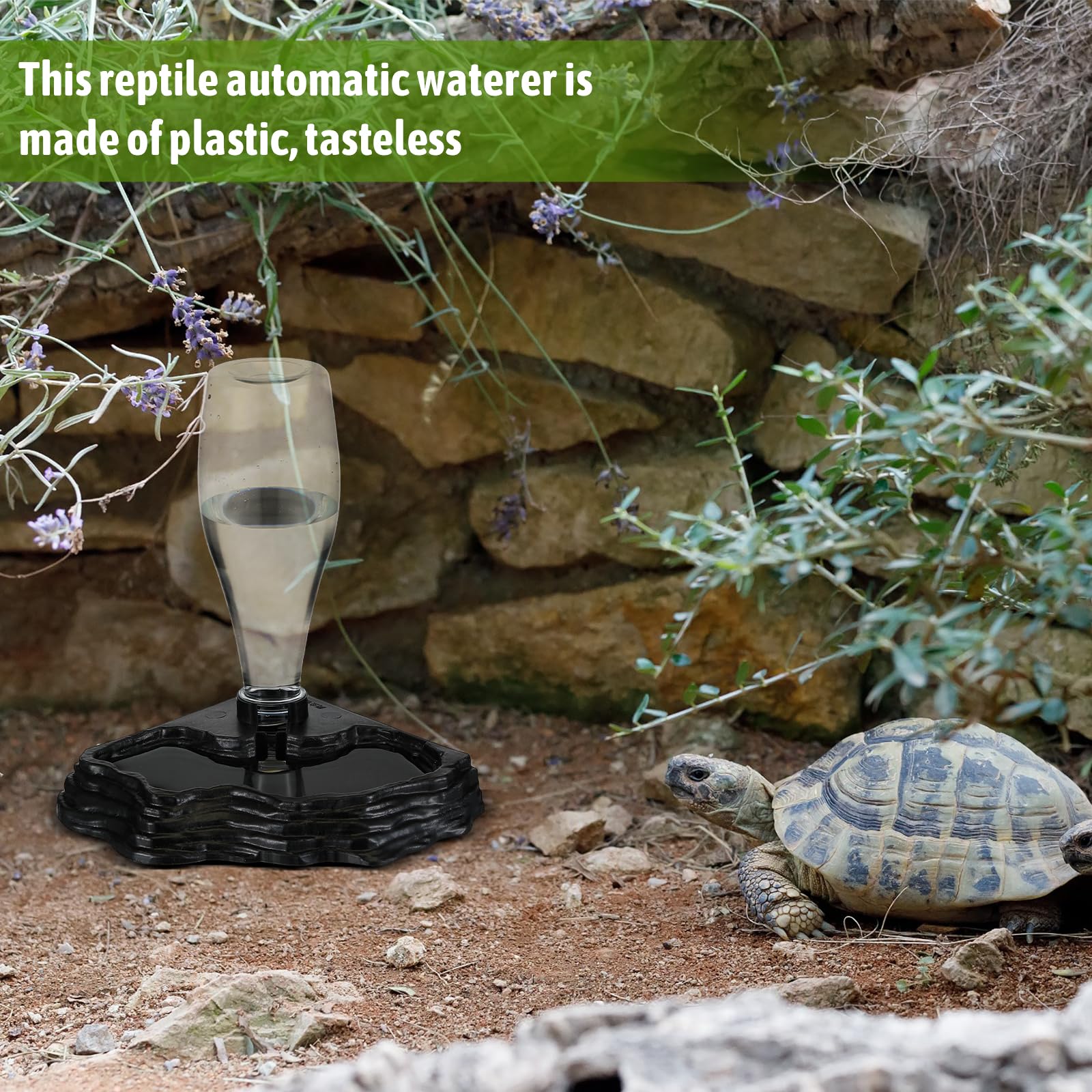 Mumufy reptile water feeder 2-pack ideal for multiple enclosures.