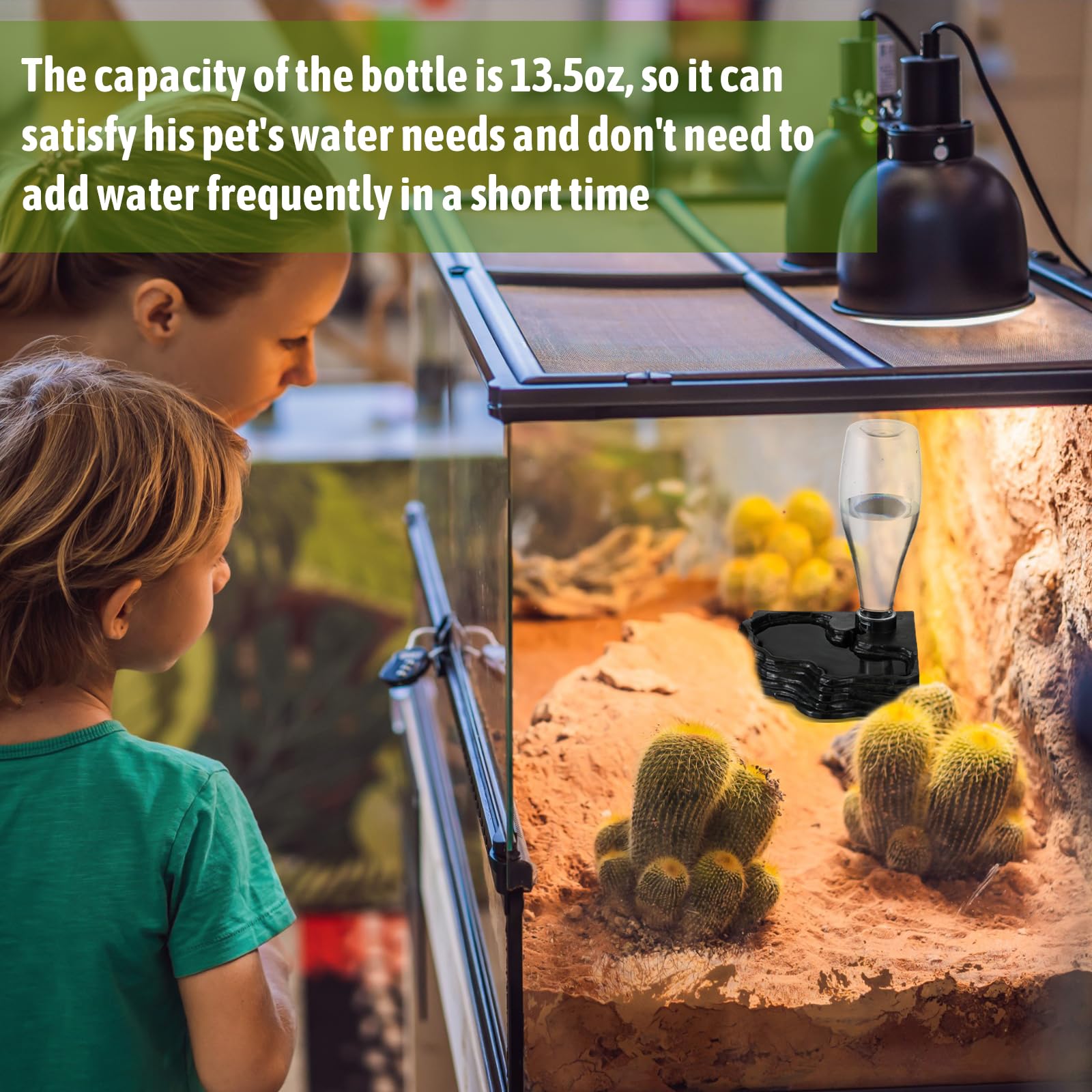 Mumufy reptile water feeder smooth surface easy cleaning after use.