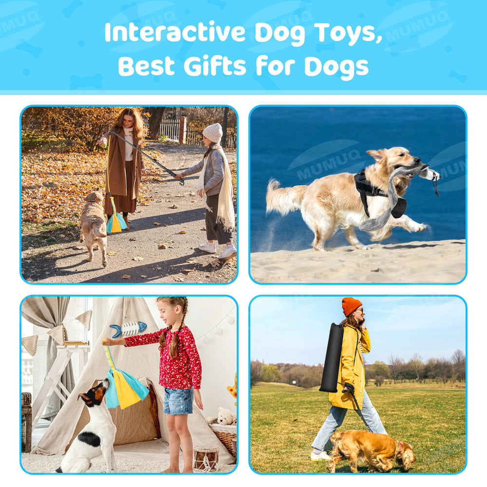 MUMUQ Dog Flirt Pole in-action training scenario for skill development.