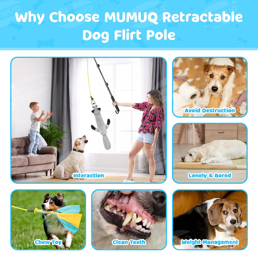 MUMUQ Dog Flirt Pole travel-friendly design fits backpacks and outings.