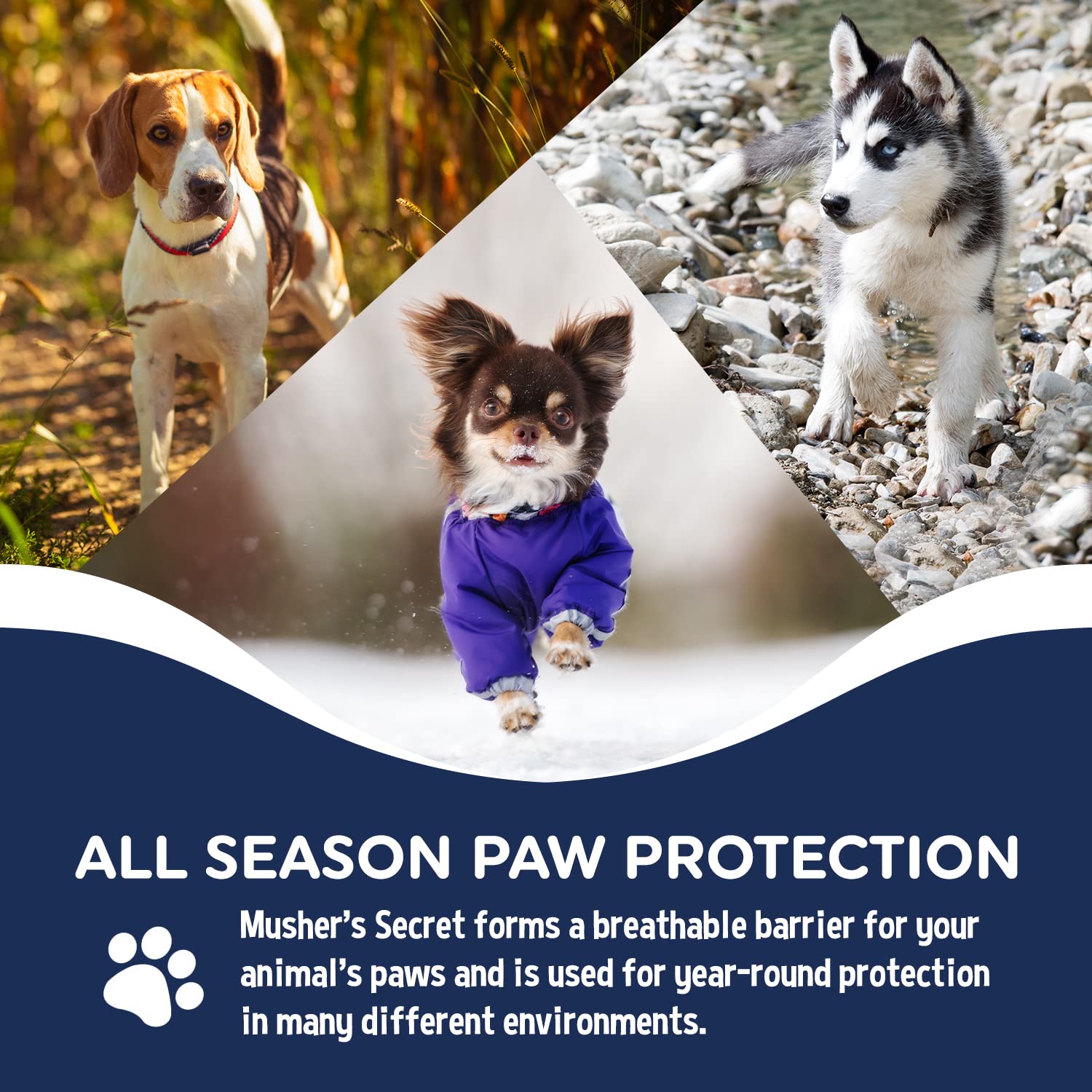 Musher's Secret paw wax in snowy pavement scene emphasizes winter dryness prevention.