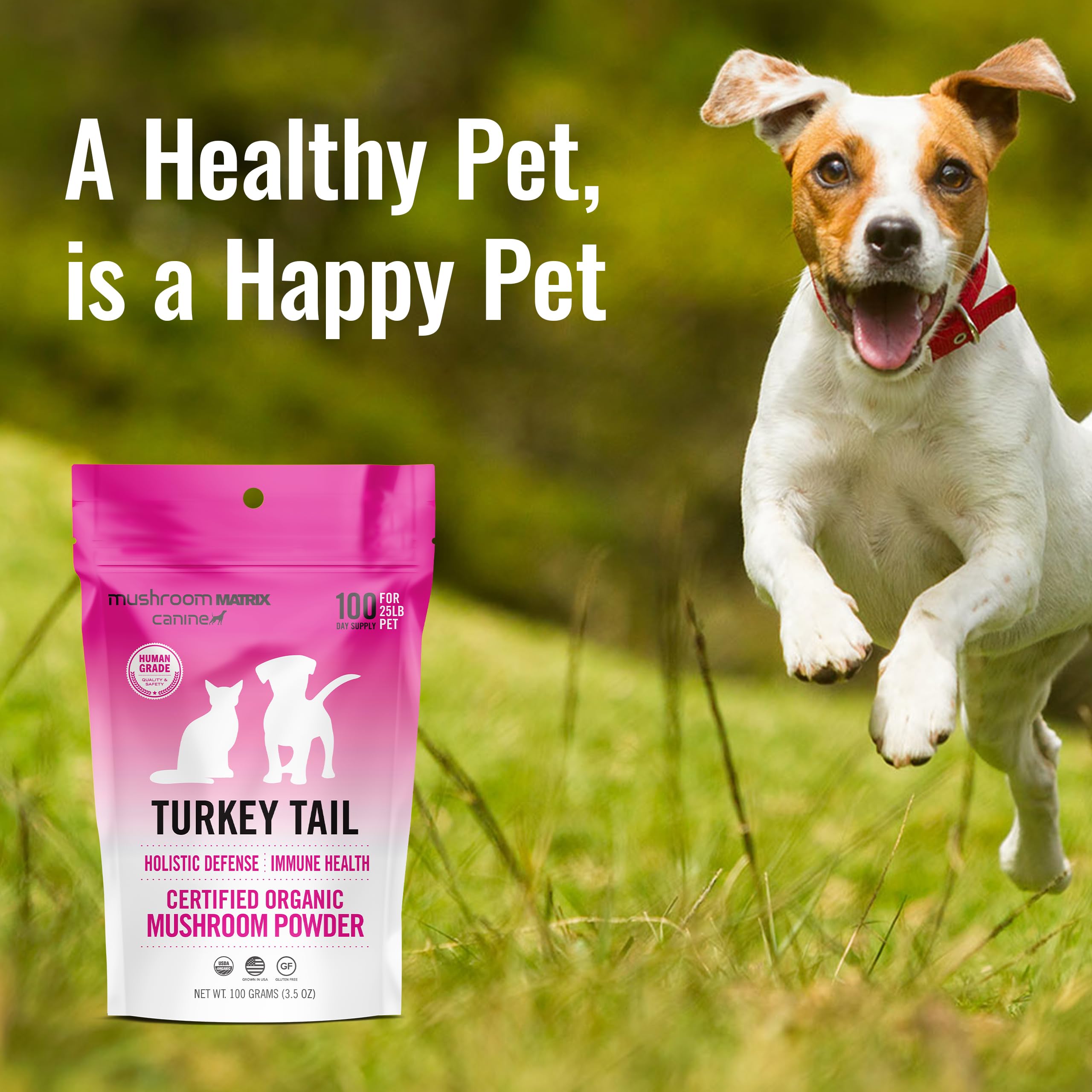 Mushroom Matrix certified organic turkey tail mushroom for responsible pet care