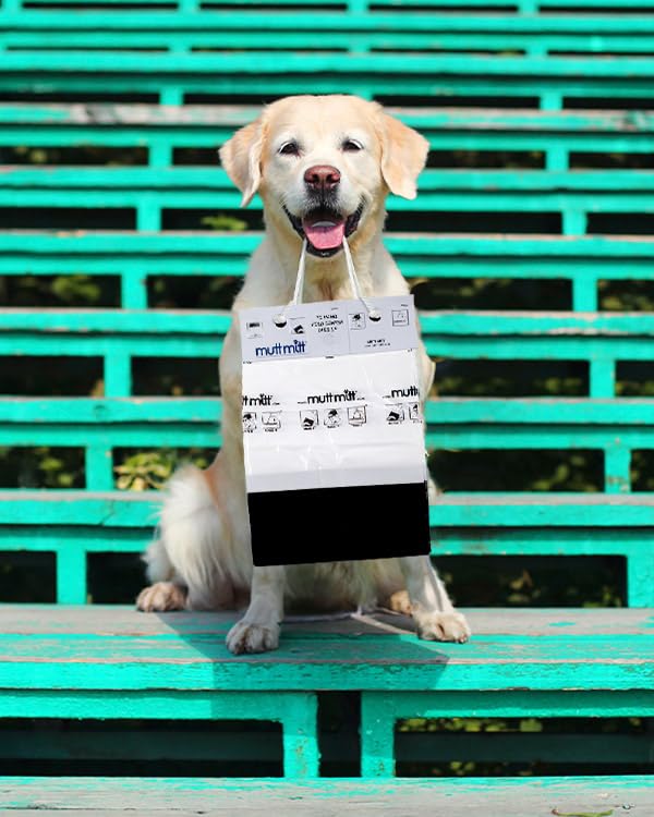Mutt Mitt 2-Ply mitten in-use on a walk—convenient cleanup during outdoor outings.