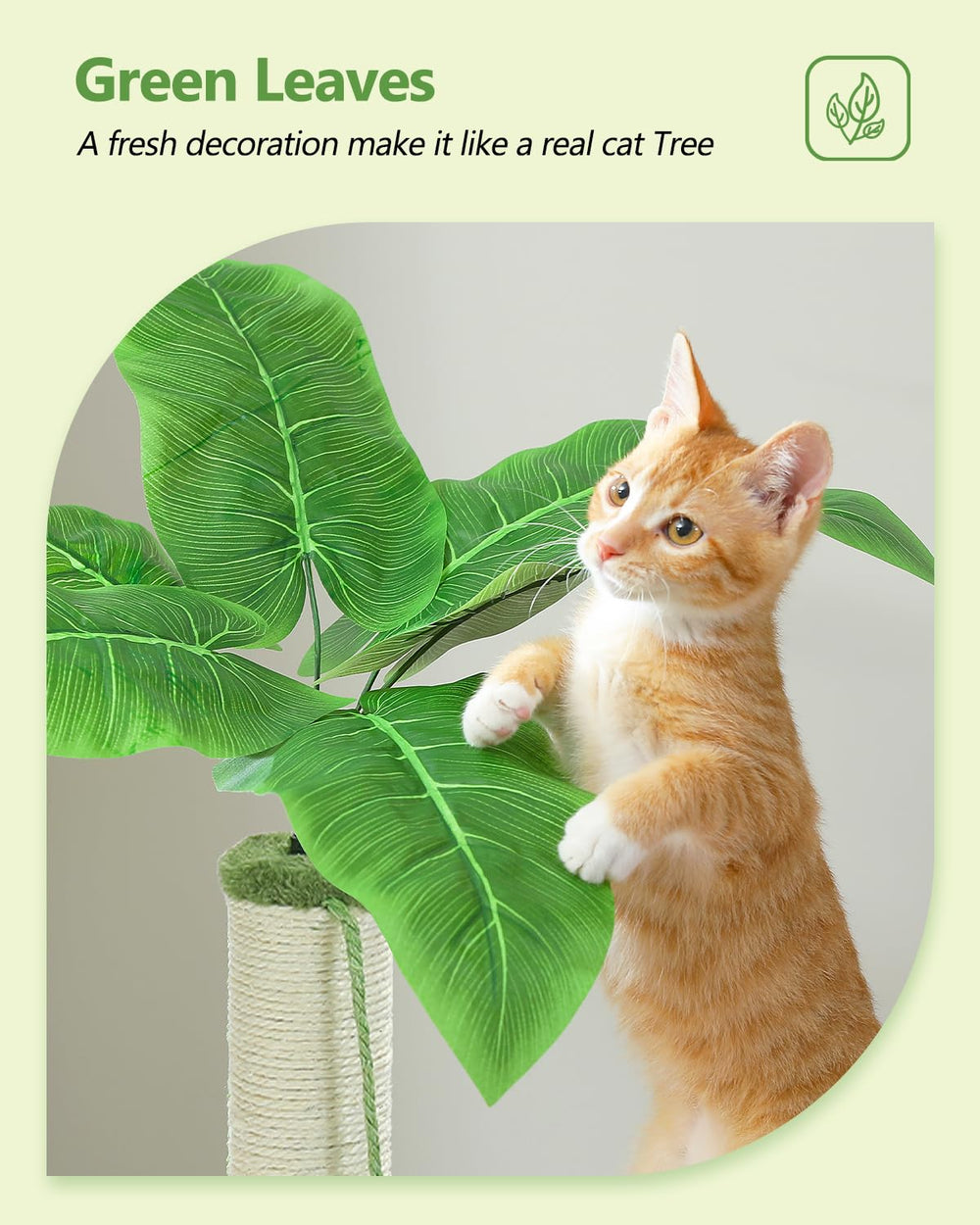MUTTROS sturdy base cat tree—stable structure for safe jumping.
