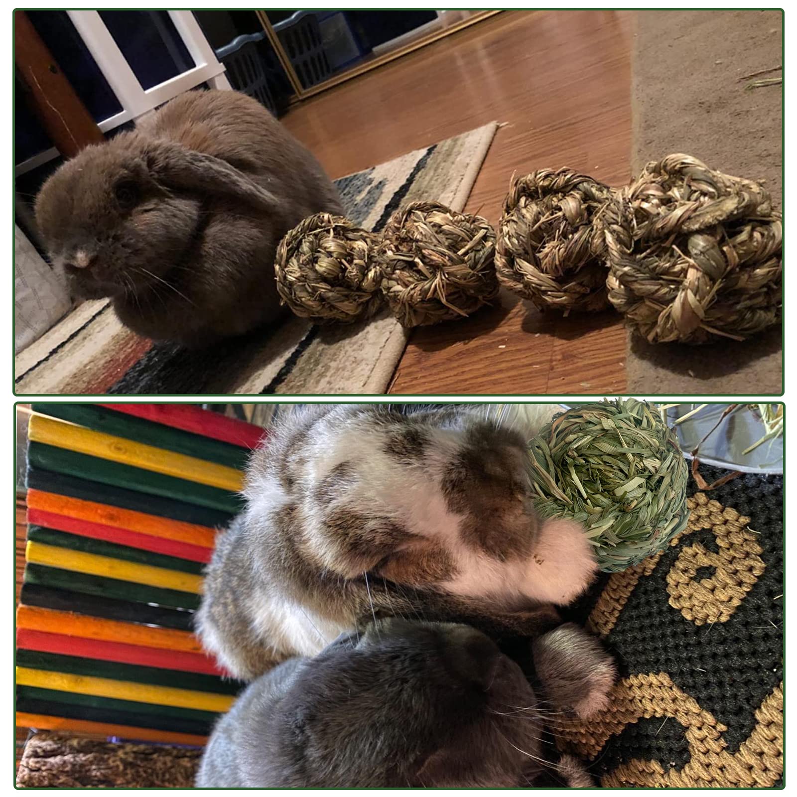 MUYG 3-inch size image demonstrates compact chew ball suitable for rabbits and hamsters