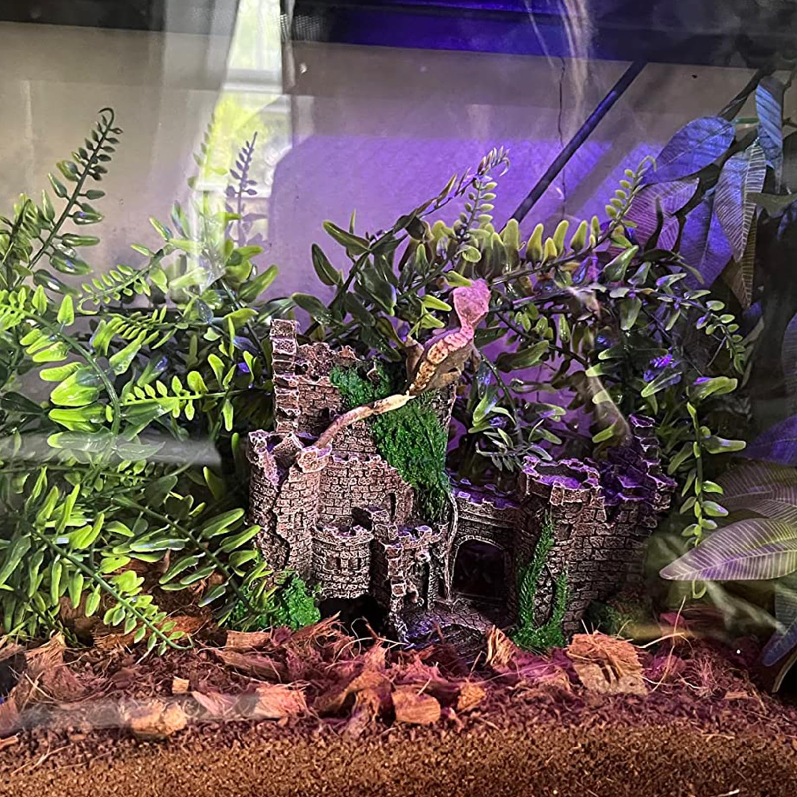 MUYG arboreal reptile habitat ornaments enrich enrichment and layout.