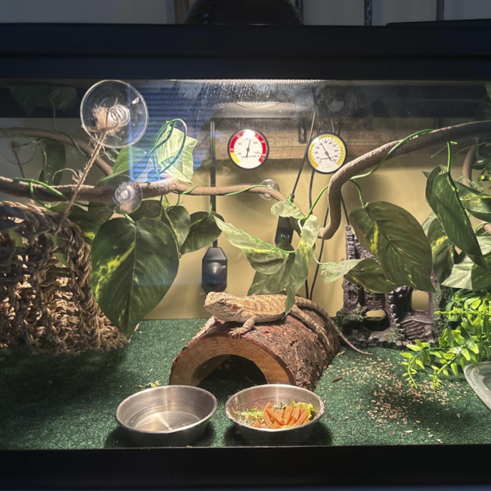 MUYG flexible rattan decoration provides flexible hideouts and exploration paths.