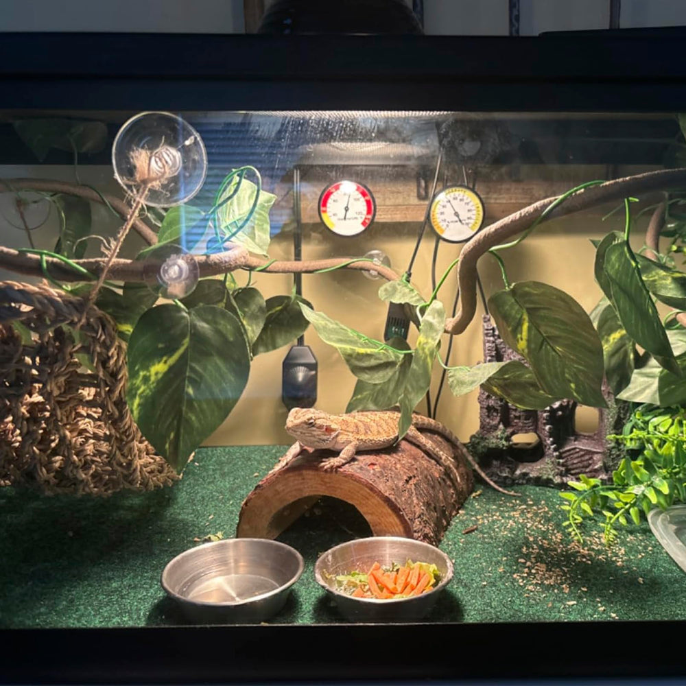 MUYG flexible rattan decoration provides flexible hideouts and exploration paths.