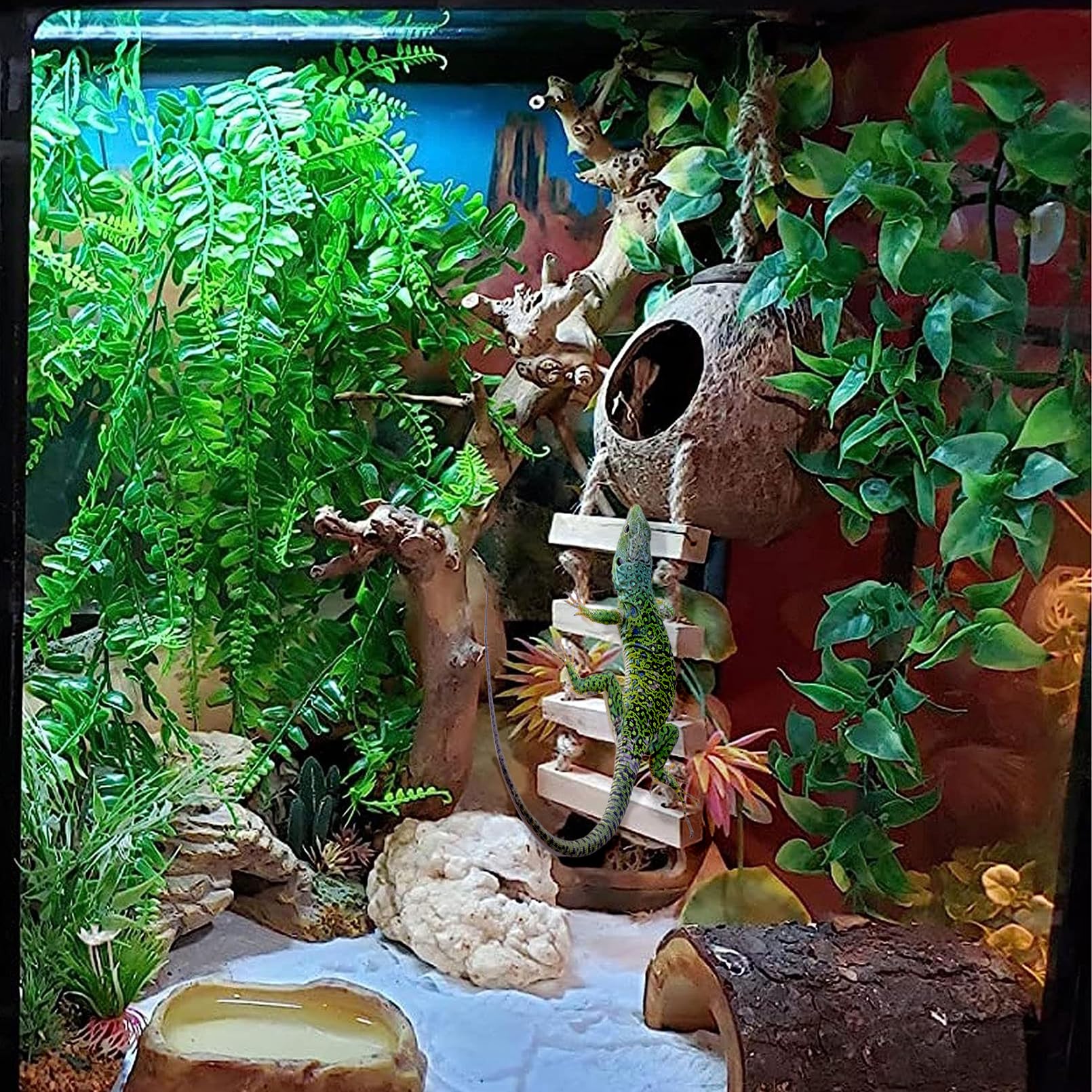 MUYG gecko coconut hut packaging shows complete 6-piece setup.