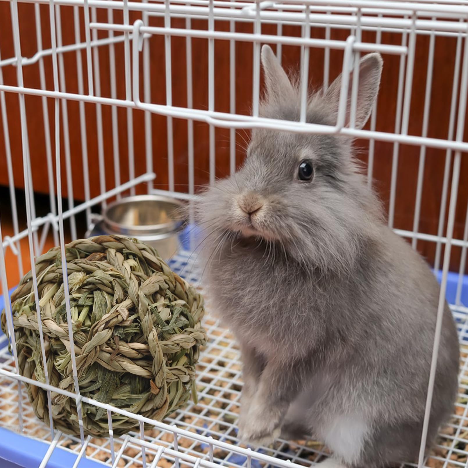 MUYG gerbil using 3-inch Timothy grass ball.