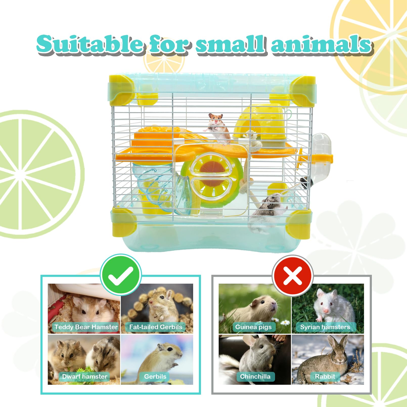 MUUG food dish and exercise wheel support daily activity and nourishment.