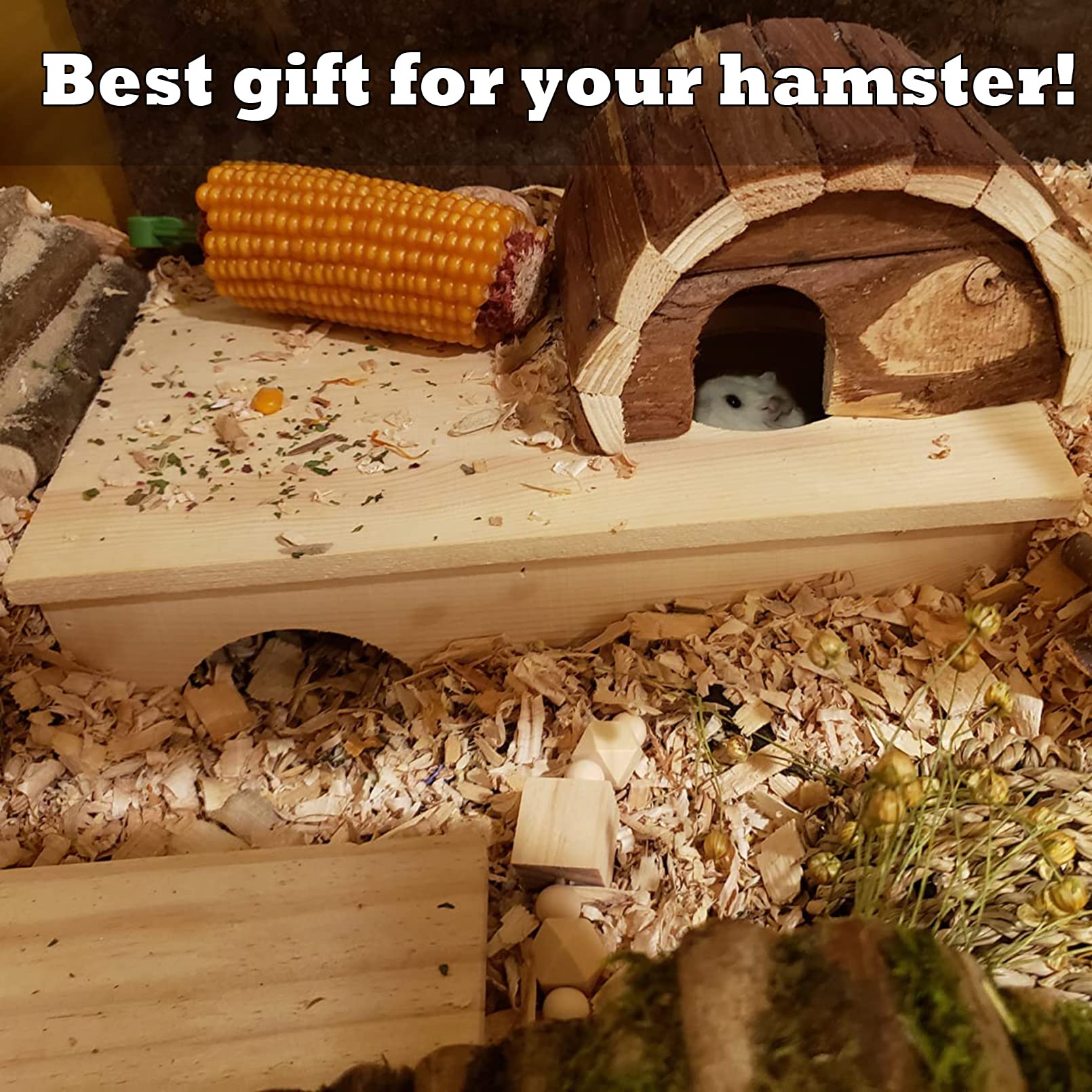 MUYG wide habitat setup featuring MUYG multi room hamster hideout for pets.