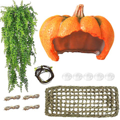 MUYG leopard gecko pumpkin hideout cave offers secure retreat and enrichment.