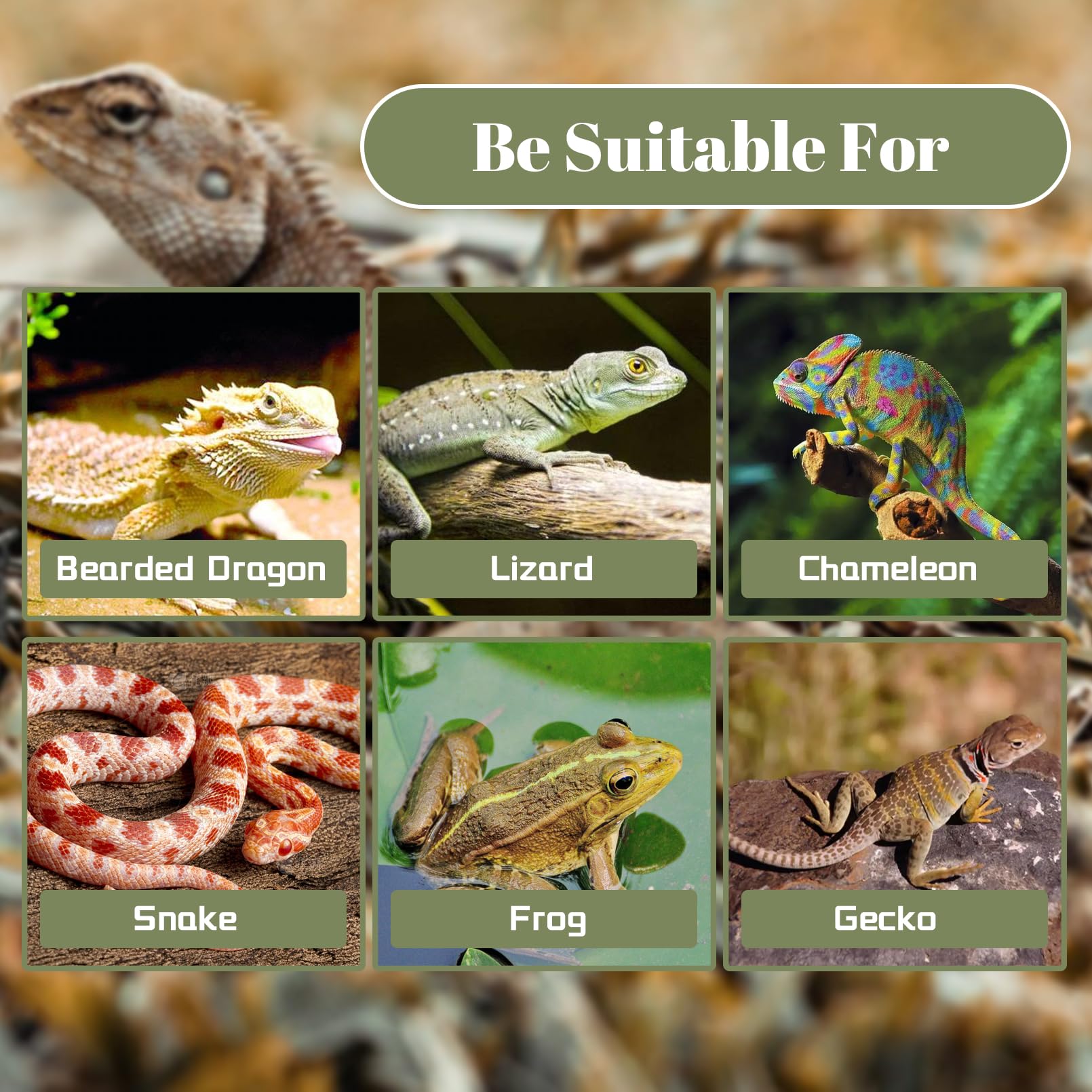 MUYG leopard gecko tank decor set delivers natural ambience and stress-free hiding spots.
