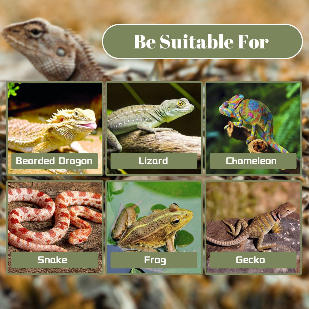 MUYG leopard gecko tank decor set delivers natural ambience and stress-free hiding spots.