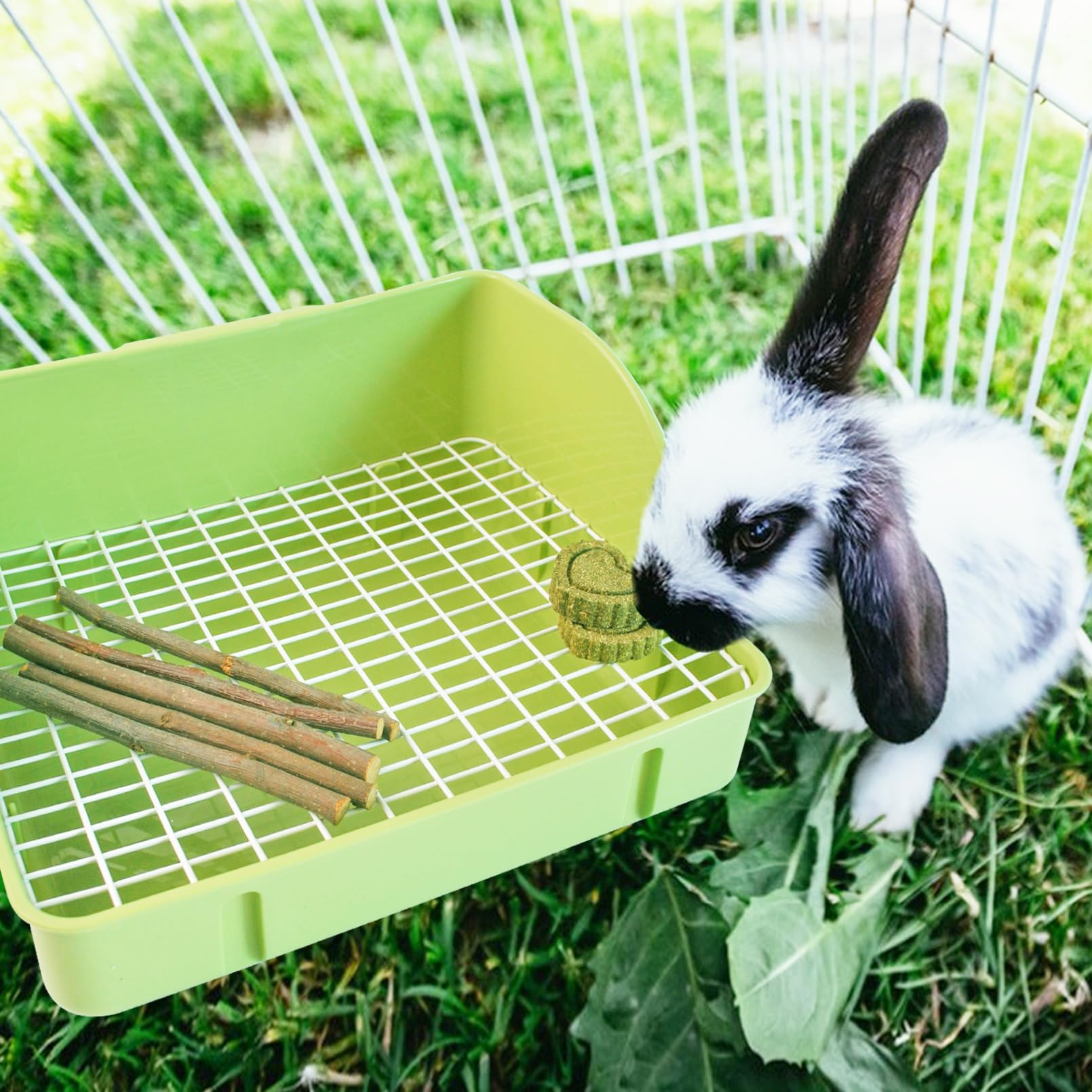 MUUG litter box grate detachable—quick, thorough cleaning between uses.