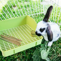 MUUG litter box grate detachable—quick, thorough cleaning between uses.