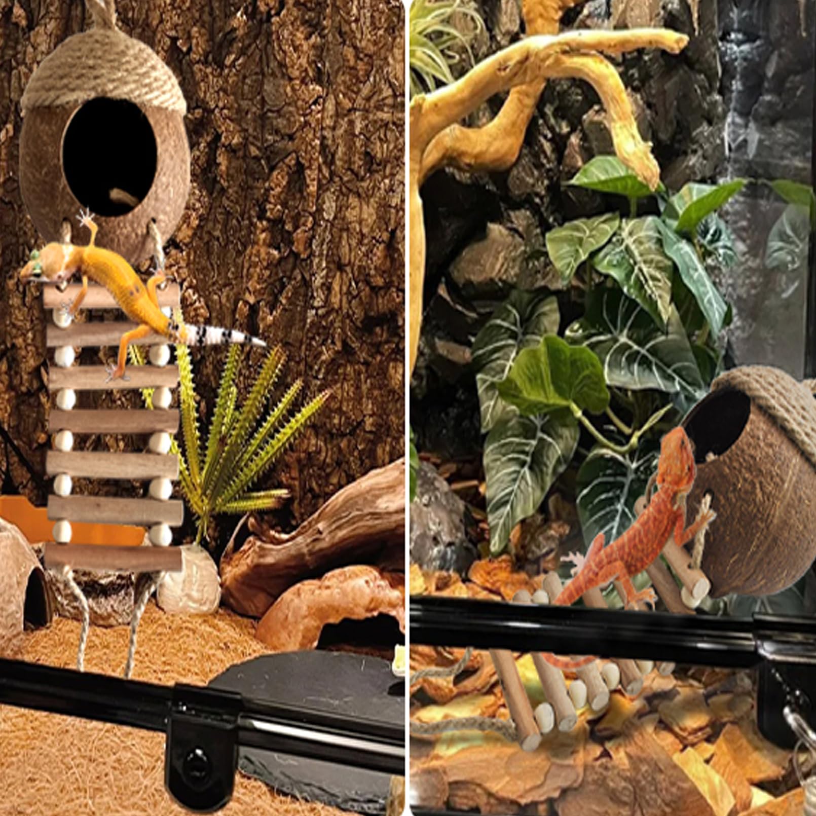 MUUG lizard coco den ladder wood offers sturdy climbing for active reptiles.