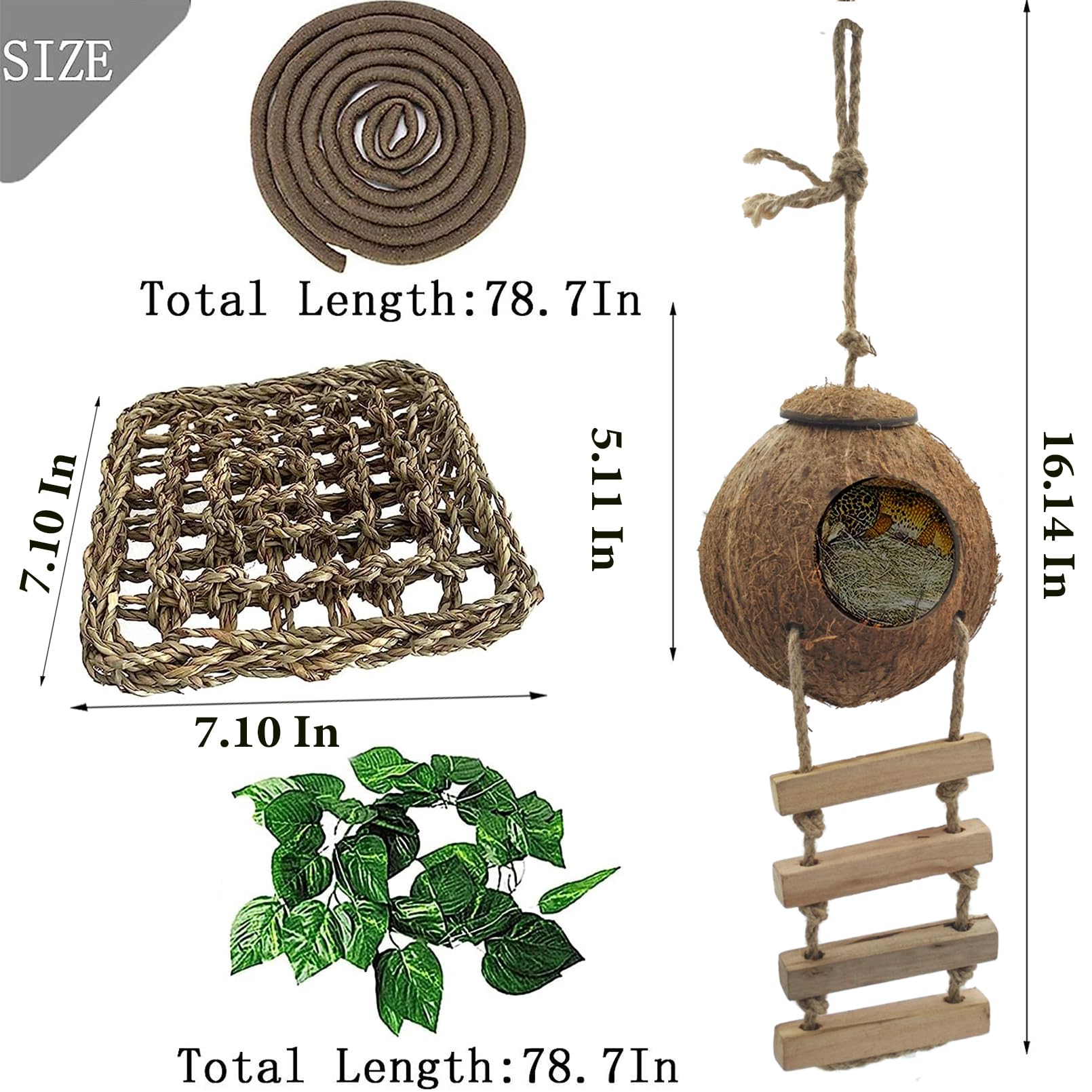 MUYG lizard hammock offers elevated lounging and activity.