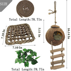 MUYG lizard hammock offers elevated lounging and activity.