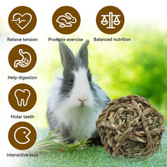 MUYG rabbit chewing Timothy grass ball for teeth grinding.