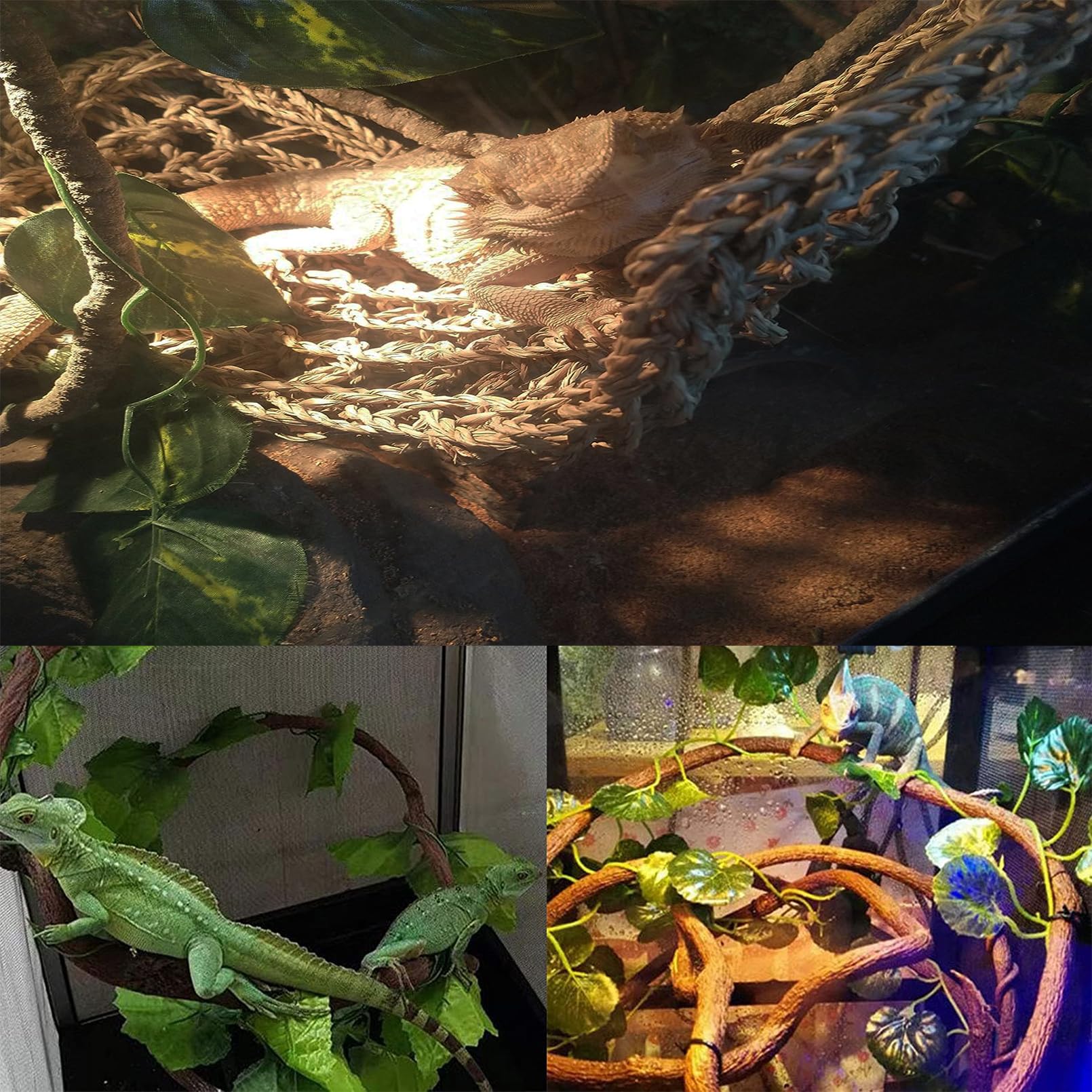 MUYG reptile leaves create a lush, natural backdrop for the terrarium.