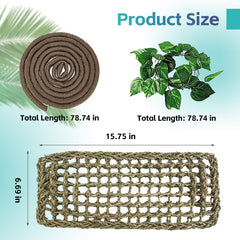 MUYG reptile plant leaves introduce greenery and enrichment for active reptiles