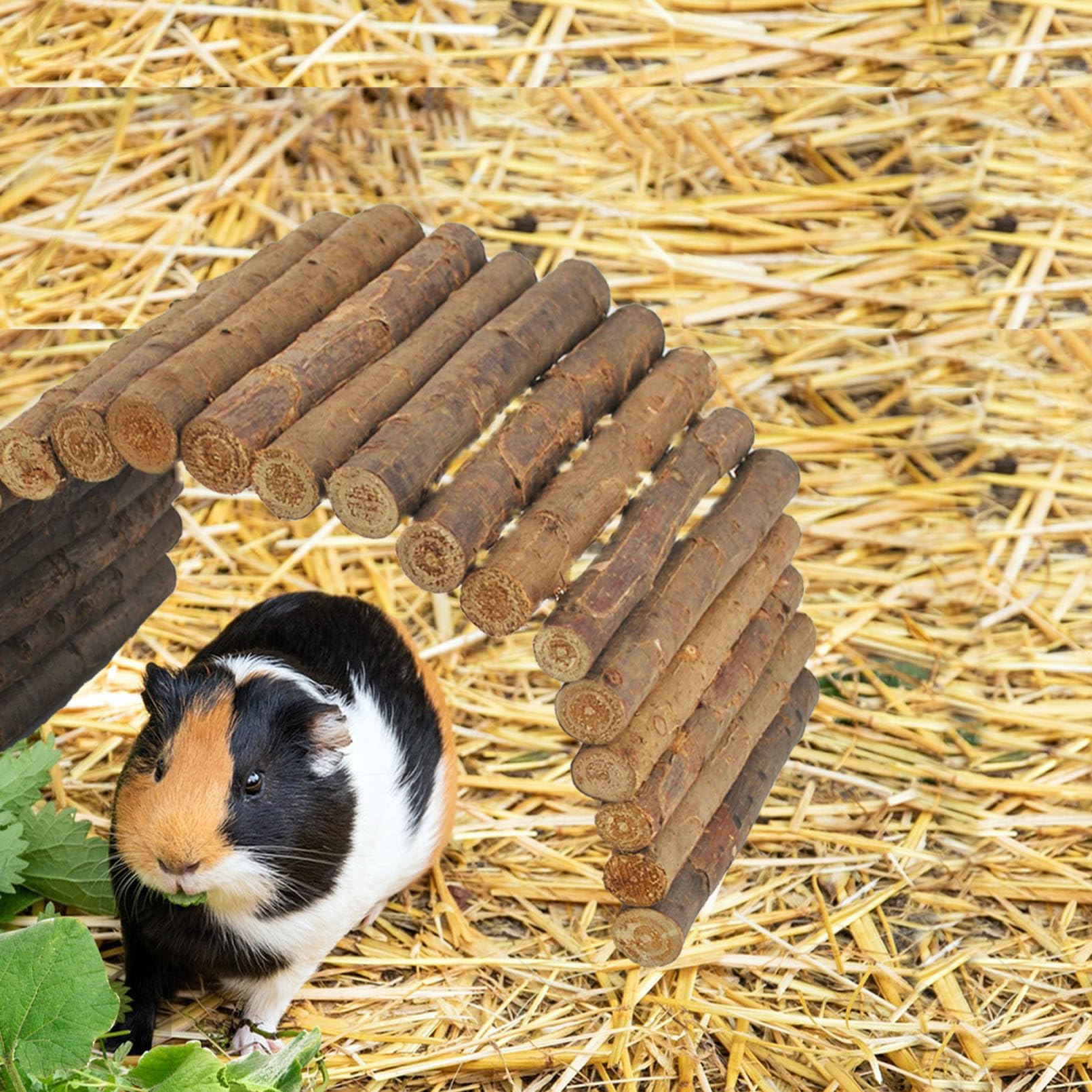 MUYG robust apple wood construction offers durable enrichment for pets