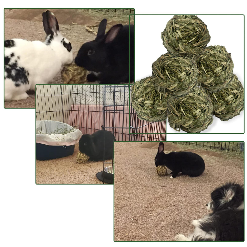MUYG small animals dental benefit image highlights a chew option for maintaining teeth wear