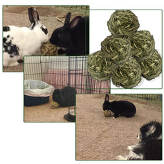MUYG small animals dental benefit image highlights a chew option for maintaining teeth wear