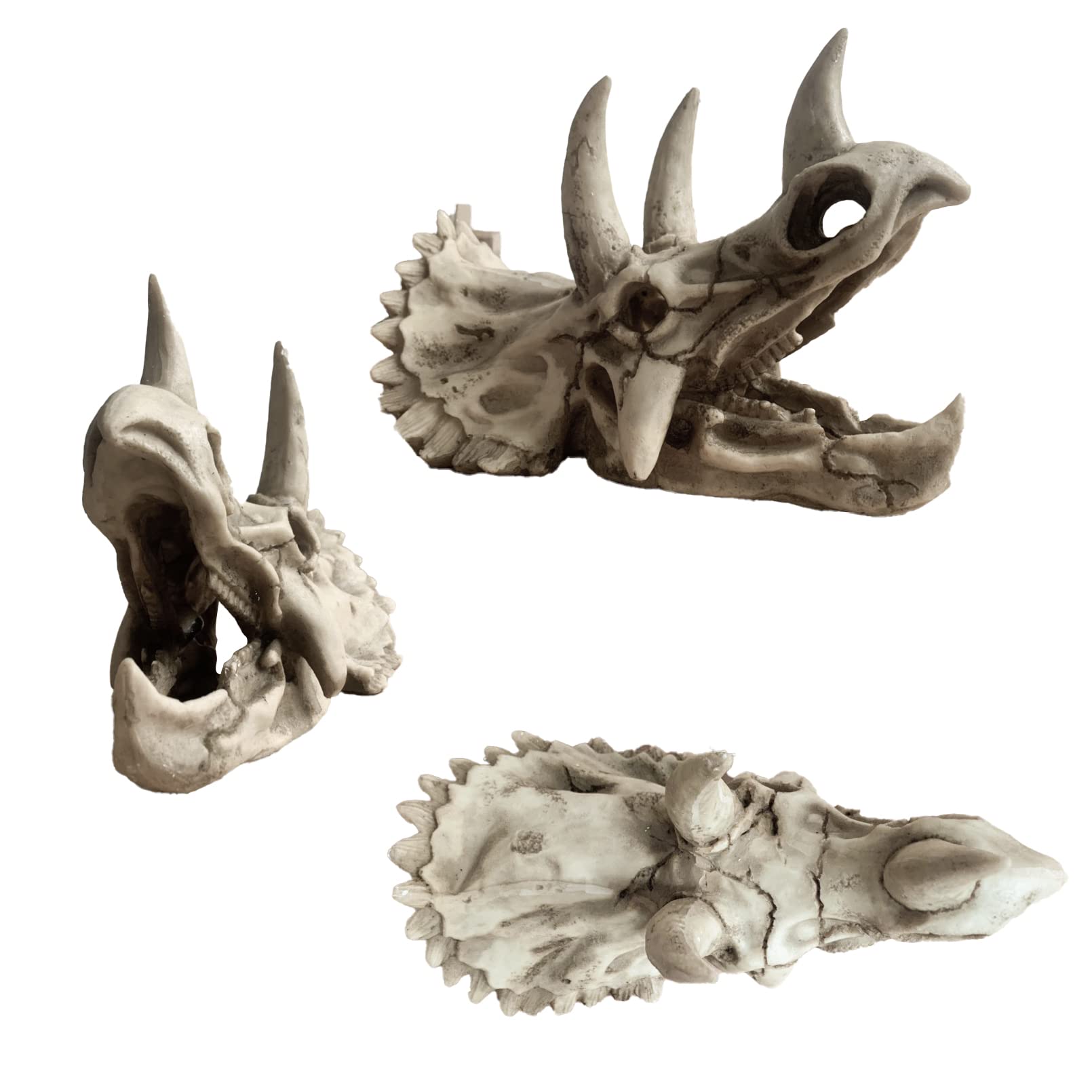 MUYG terrarium skull decor suits reptiles and amphibians for engaging habitat