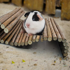 MUYG wooden bridge close-up apple wood texture supports gentle chewing.