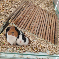 MUYG wooden bridge durable apple wood long-lasting chew toy in cage.