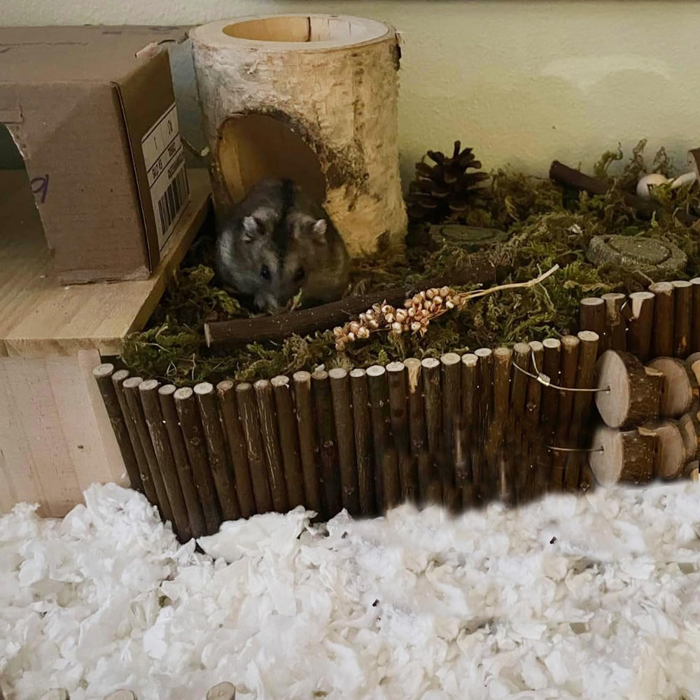 MUUG wooden hamster tunnel care drying image suggests sun-dry to prevent mildew.