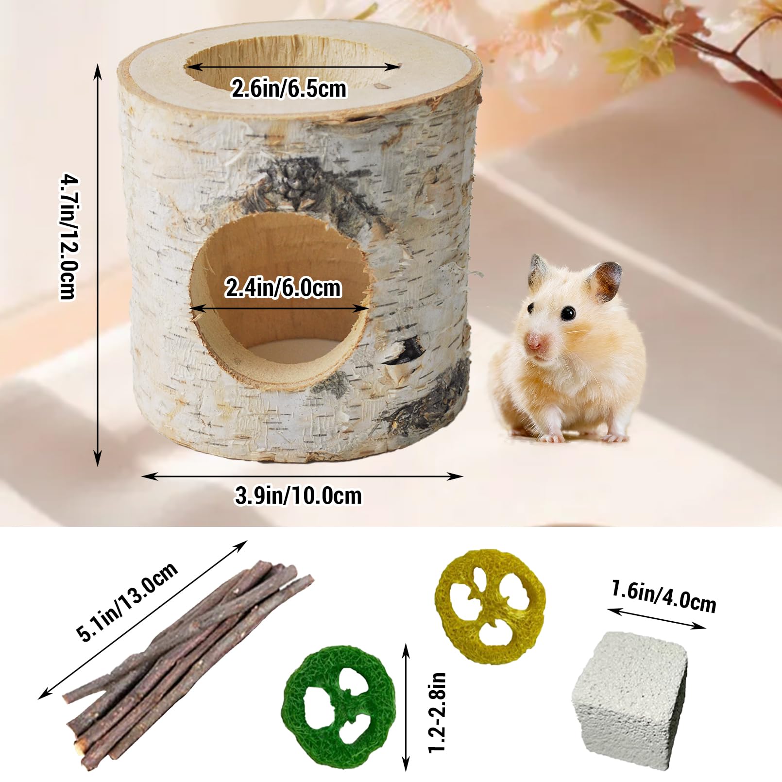MUUG wooden hamster tunnel interior hole view highlights cozy hideout and exploration.