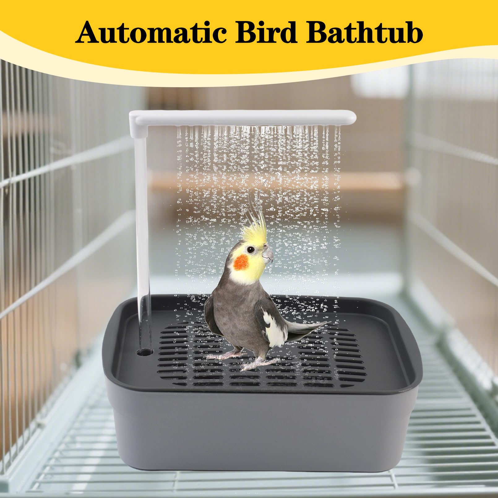 MUYG bath dimensions 12.2x8.1x12.9 inches suitable for small to medium birds